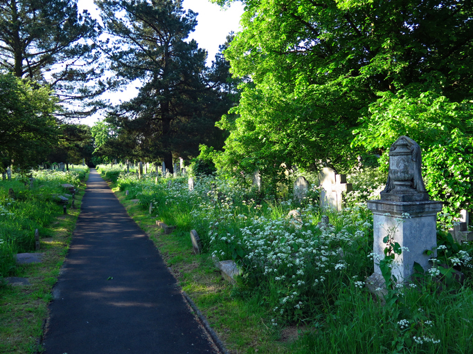 Lack of Funeral Foresight Leaves Grievers in the Lurch